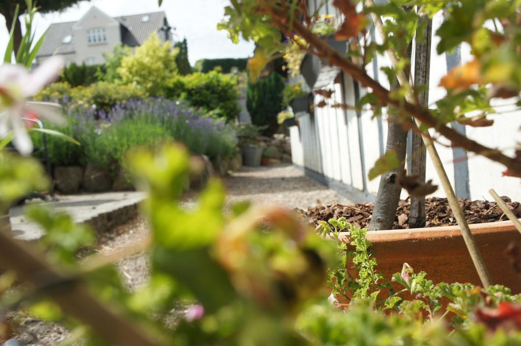 Lyng Dal Hotel Og Restaurant Ry Exterior foto