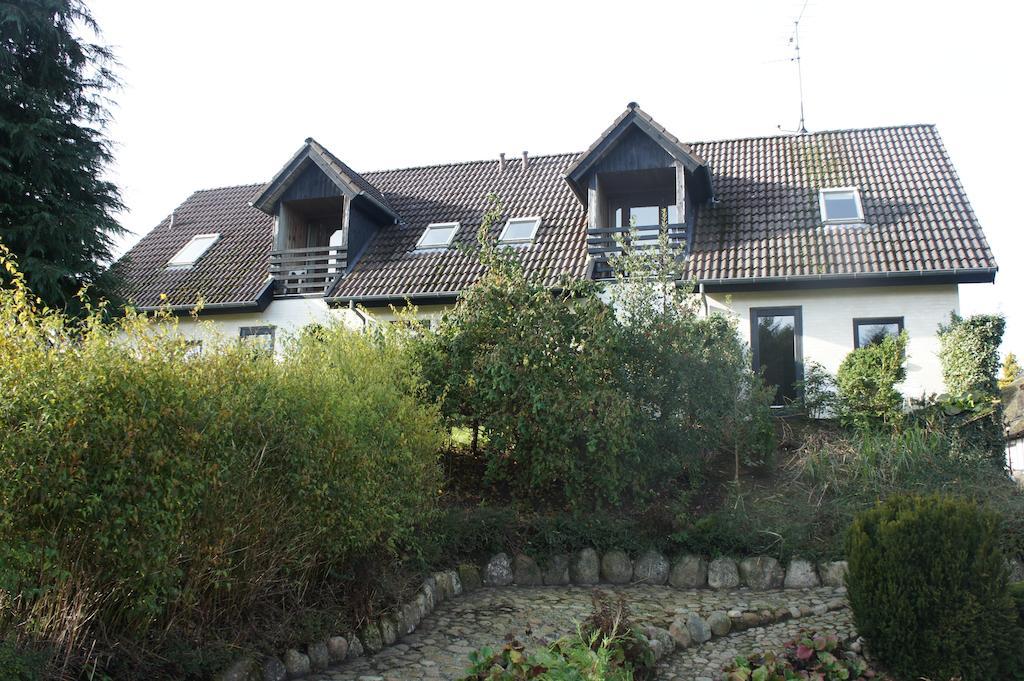 Lyng Dal Hotel Og Restaurant Ry Exterior foto