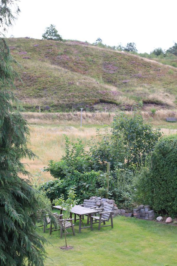 Lyng Dal Hotel Og Restaurant Ry Exterior foto